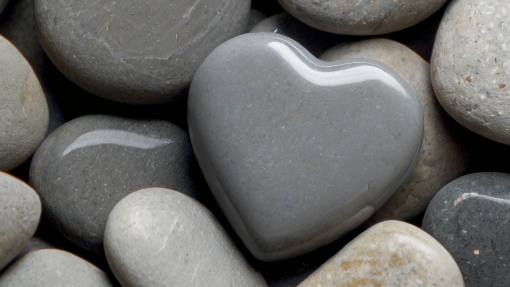 Keeping Our Hearts Soft In A Harsh&nbsp;World